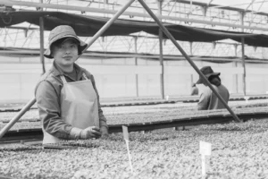 Trabajadores Temporales Agro Redes Humanas